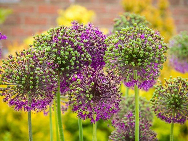 Cómo preparar tu jardín para la llegada de la primavera