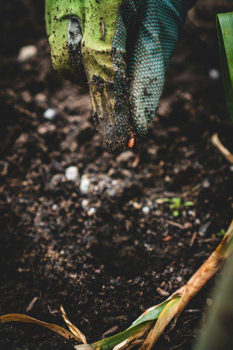 VerdeVivo Jardinería SP 13