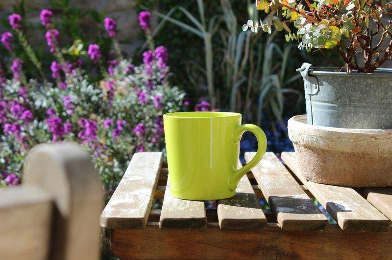 VerdeVivo Jardinería SP 4