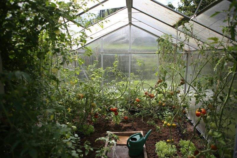 VerdeVivo Jardinería SP